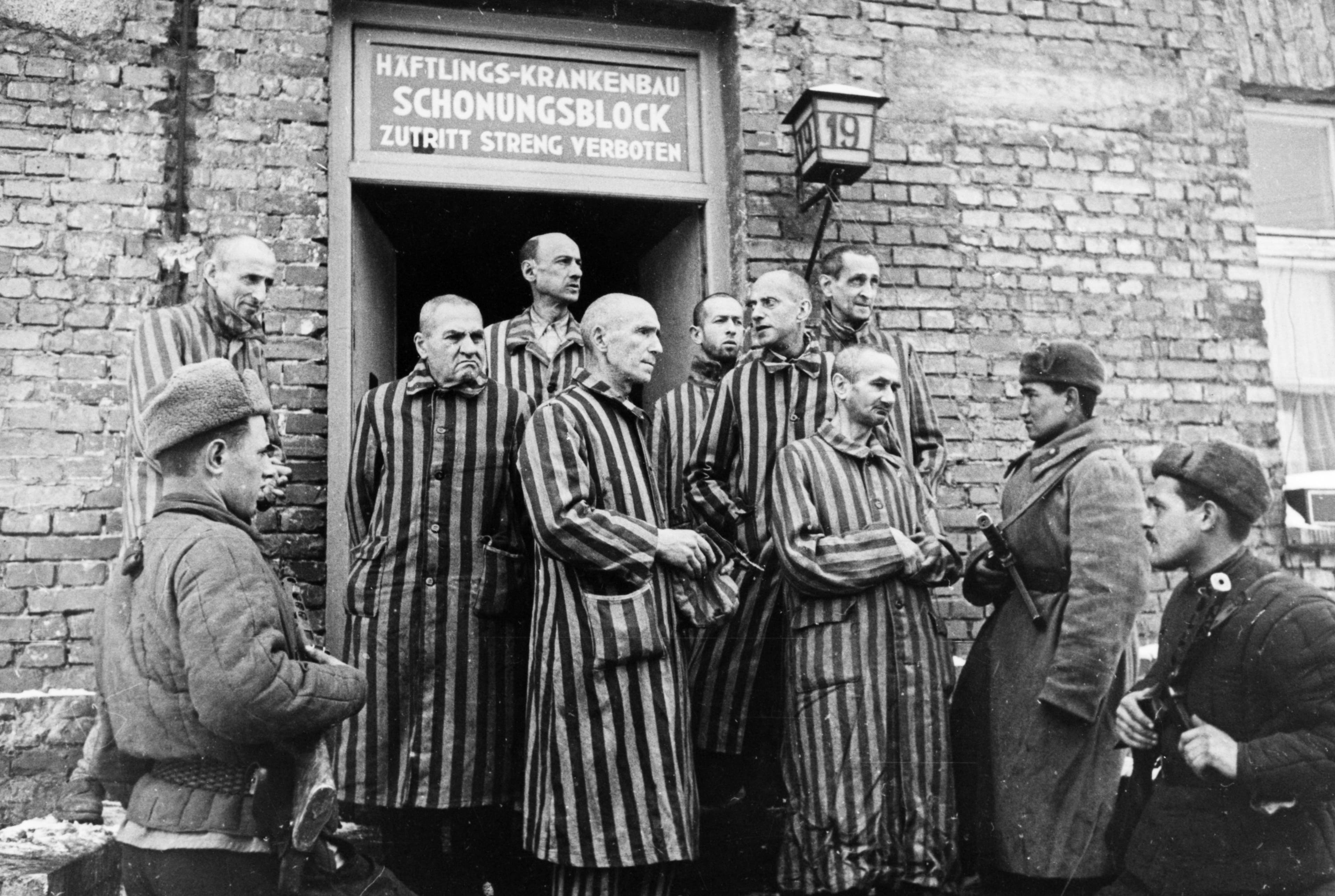 Libertação de Auschwitz: Fotos