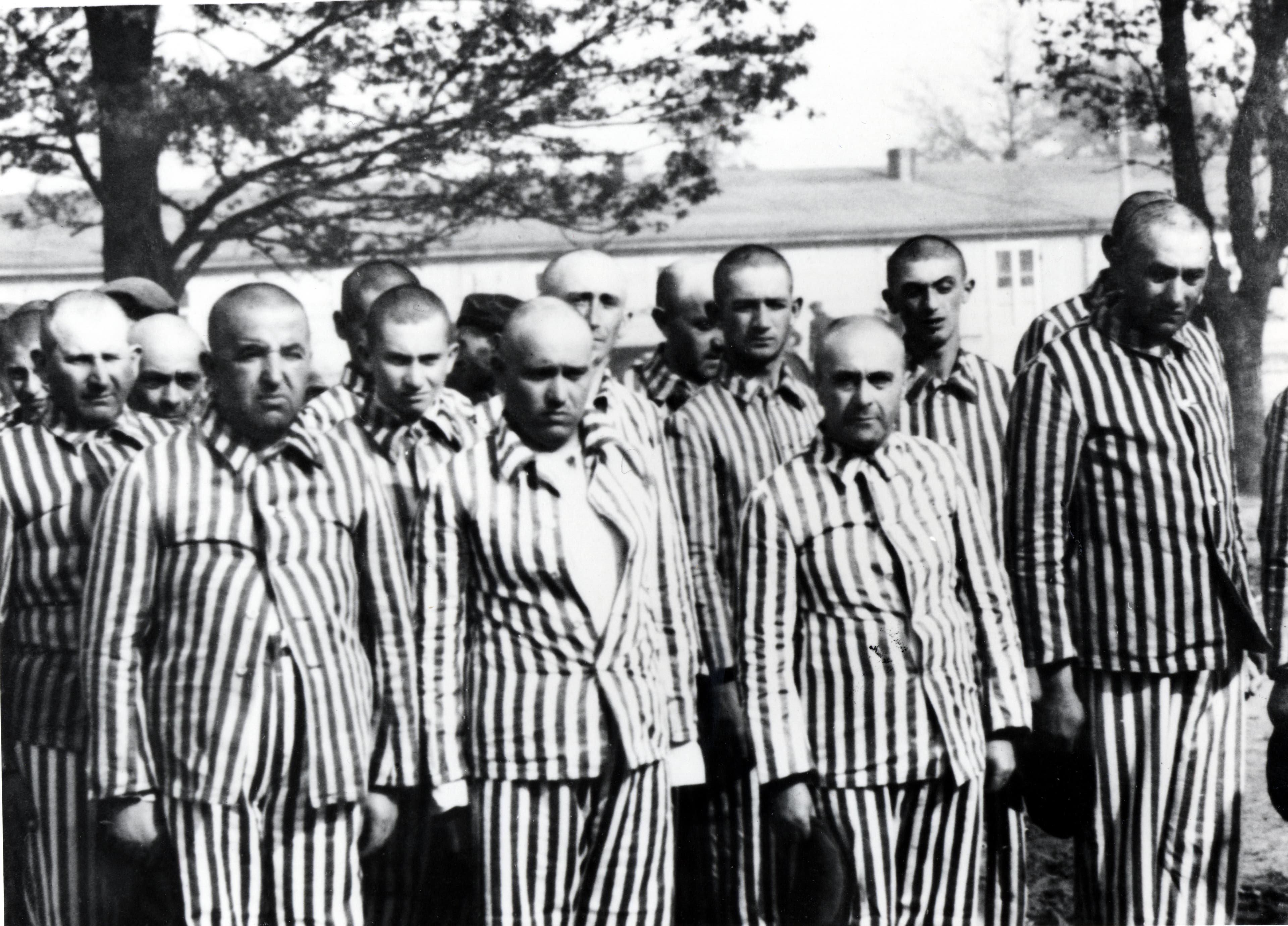 Libertação de Auschwitz: Fotos
