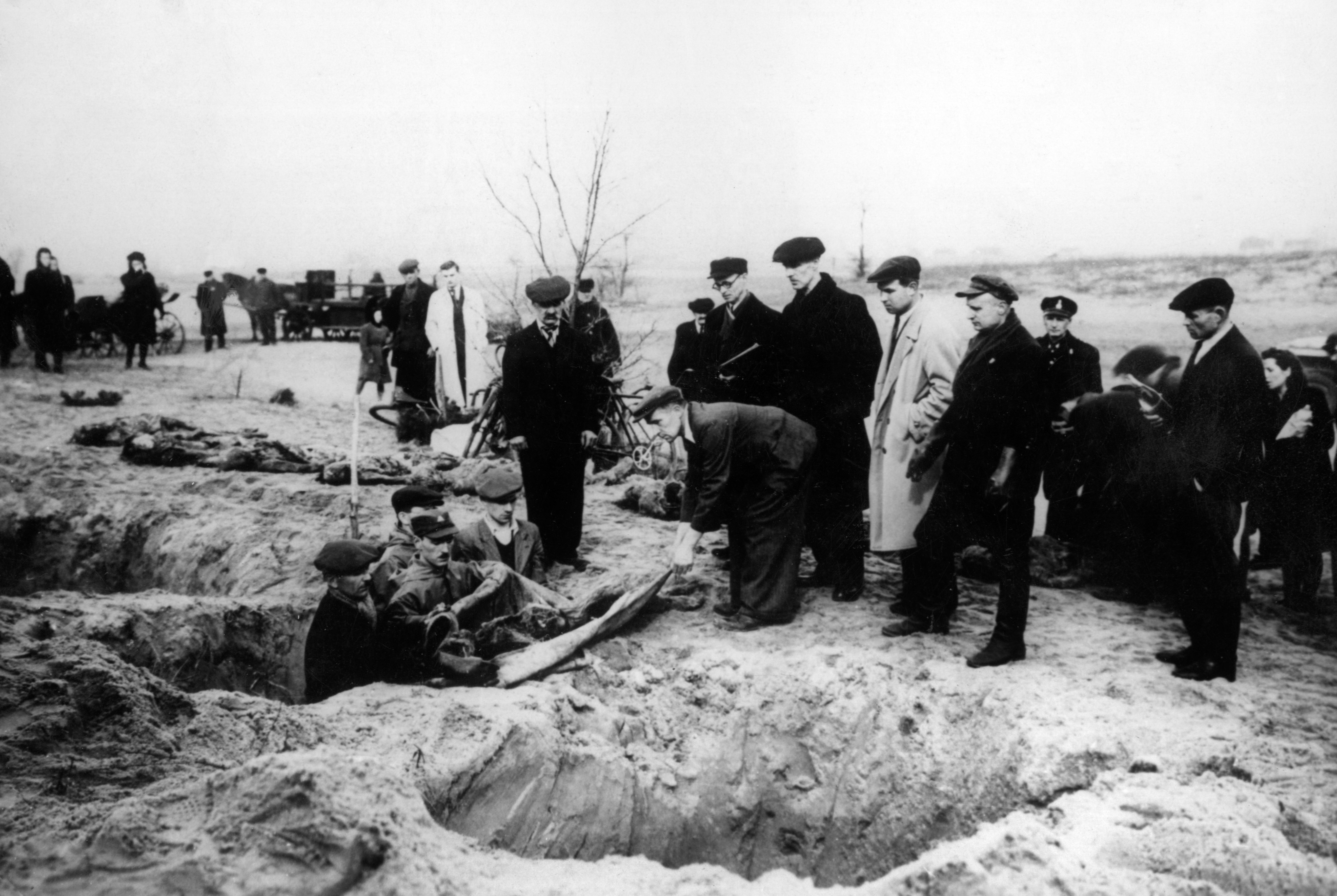 A libertação de Auschwitz: Fotos