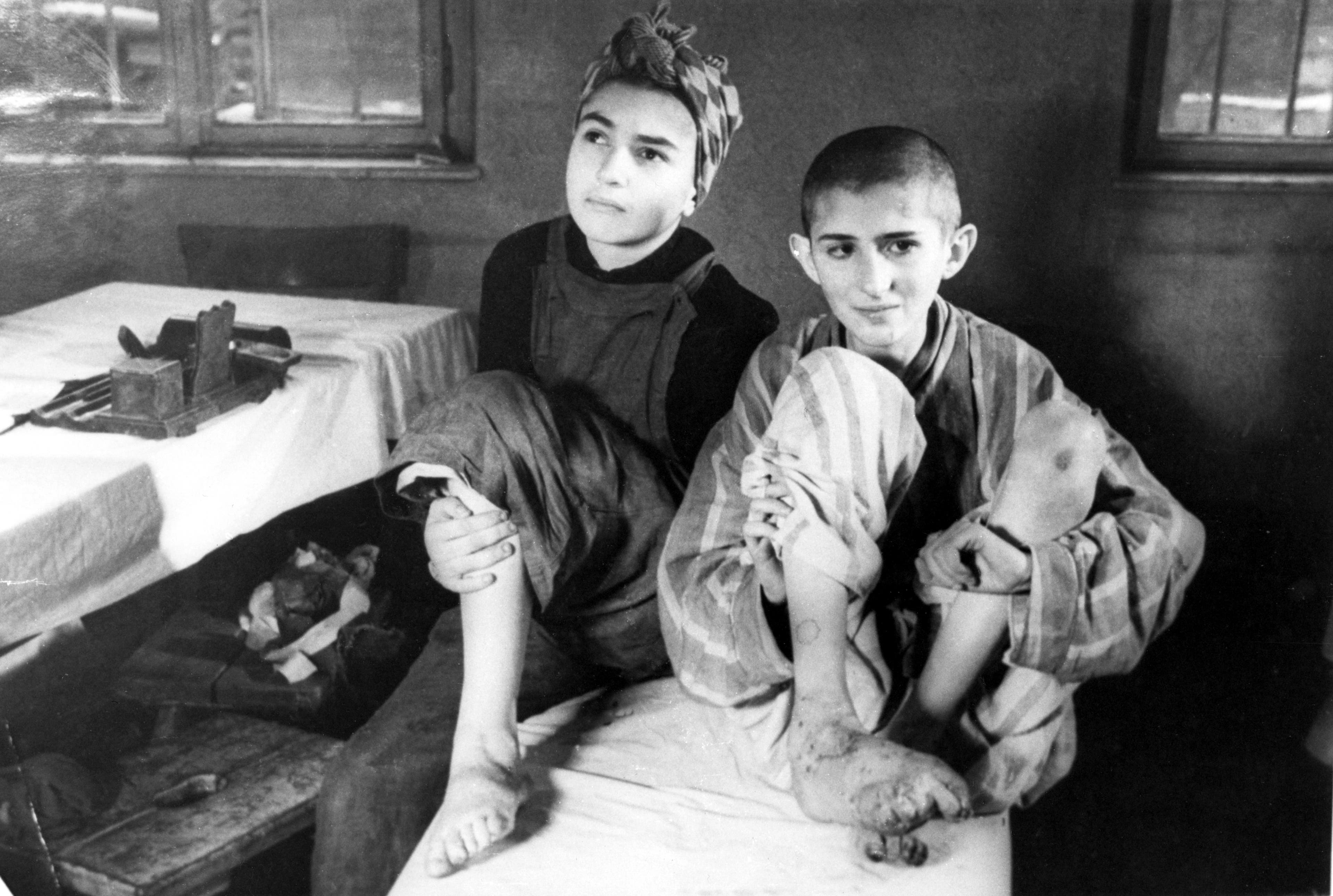 Libertação de Auschwitz: Fotos