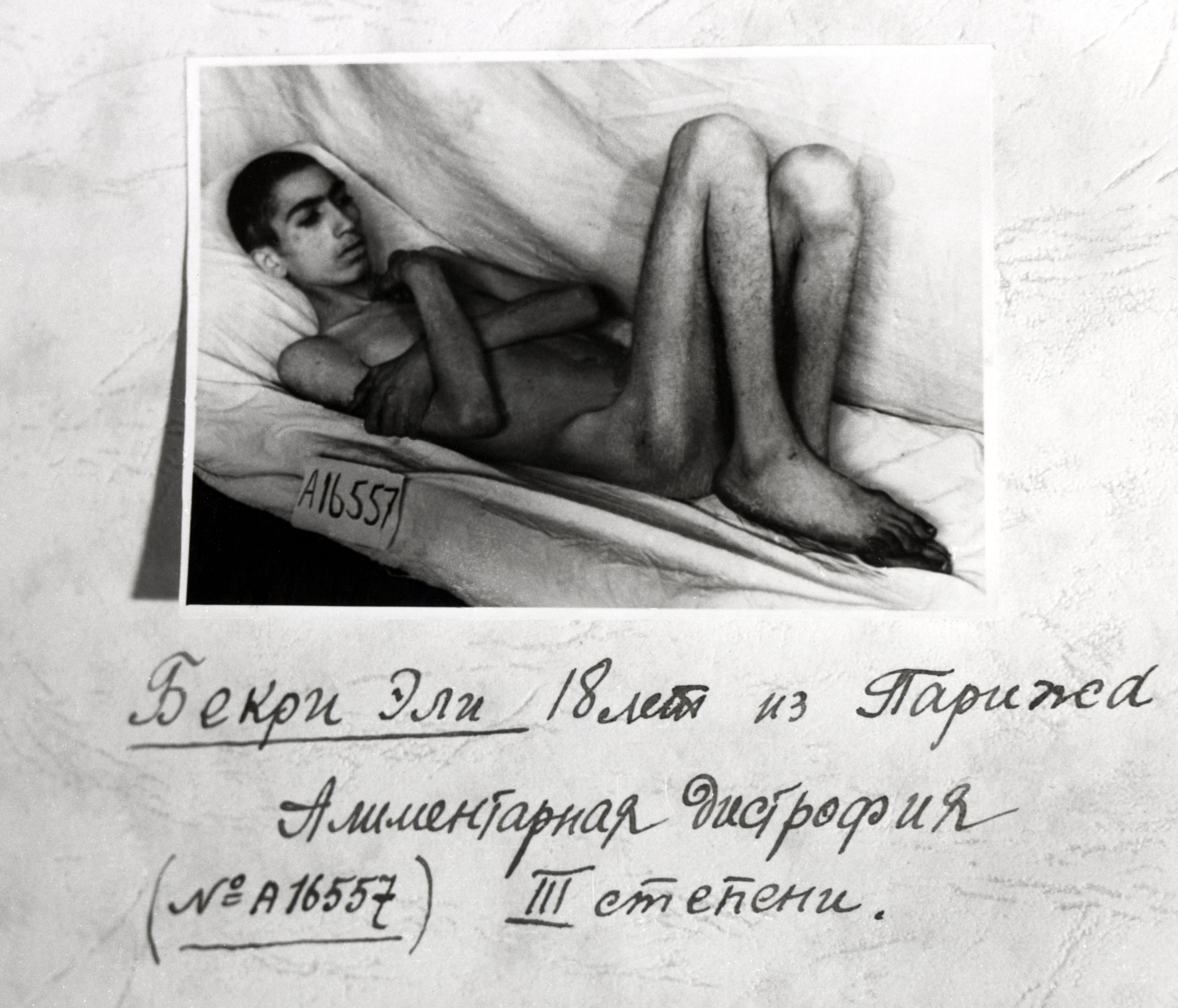 Libertação de Auschwitz: Fotos