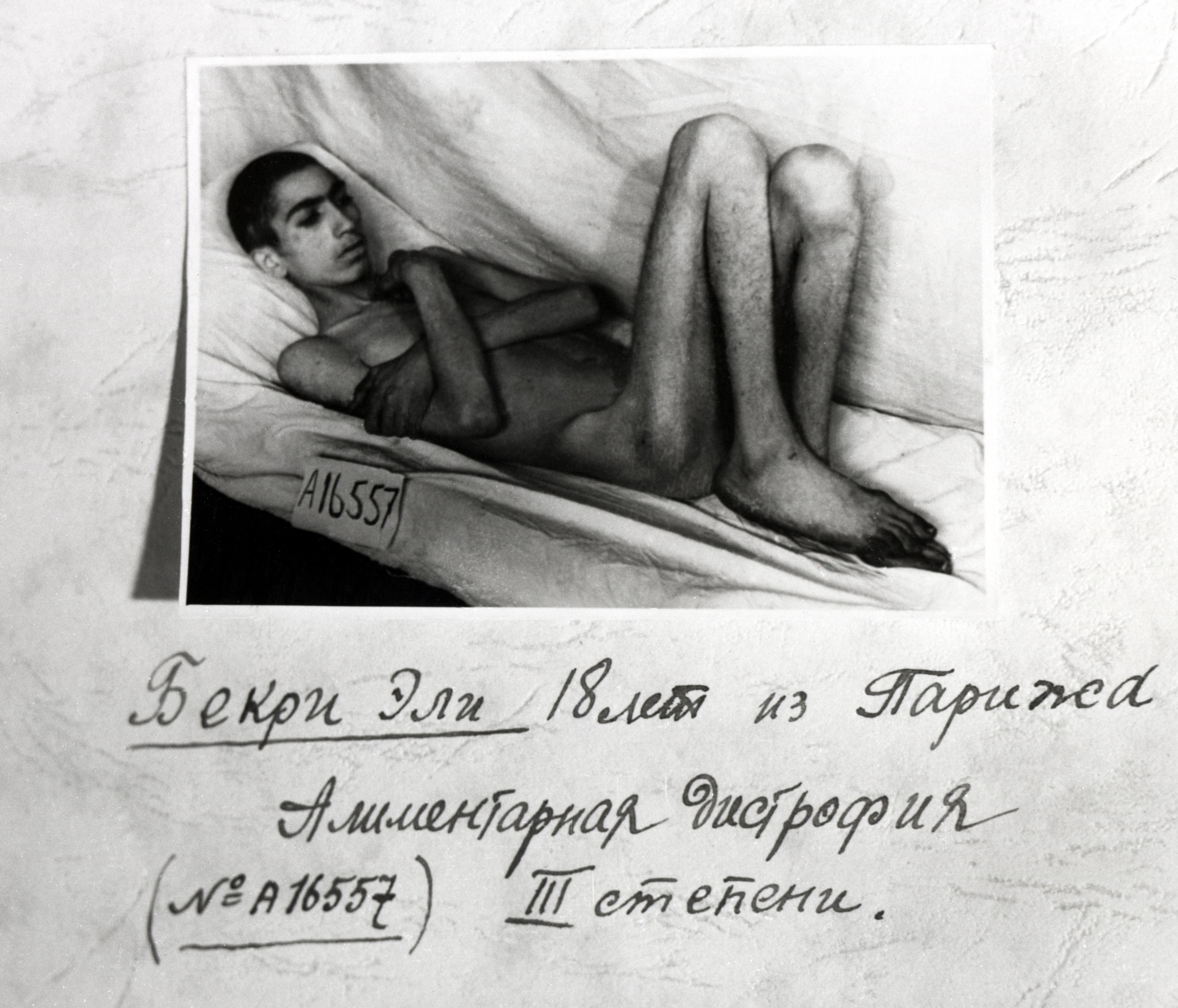 Libertação de Auschwitz: Fotos