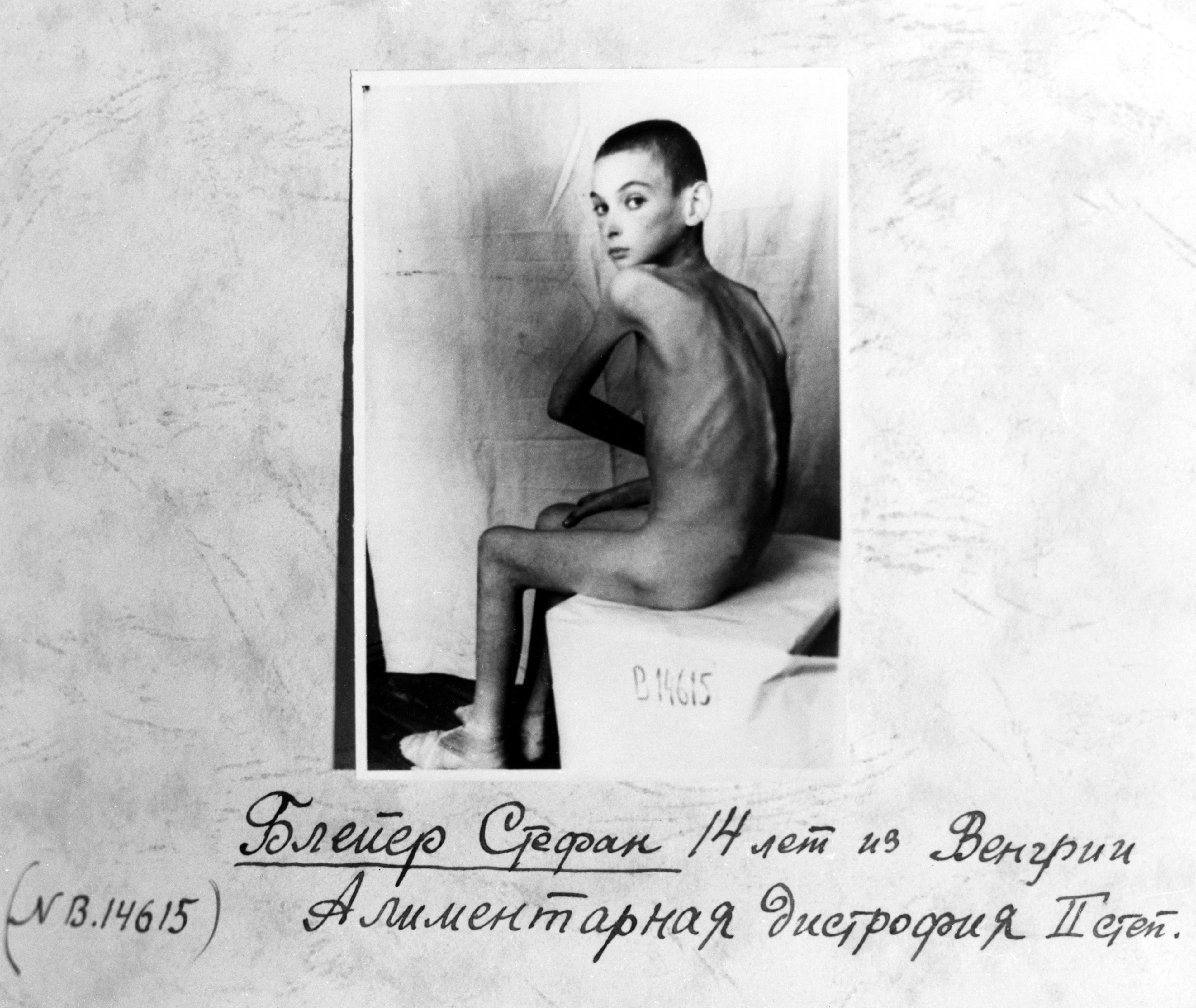 Libertação de Auschwitz: Fotos