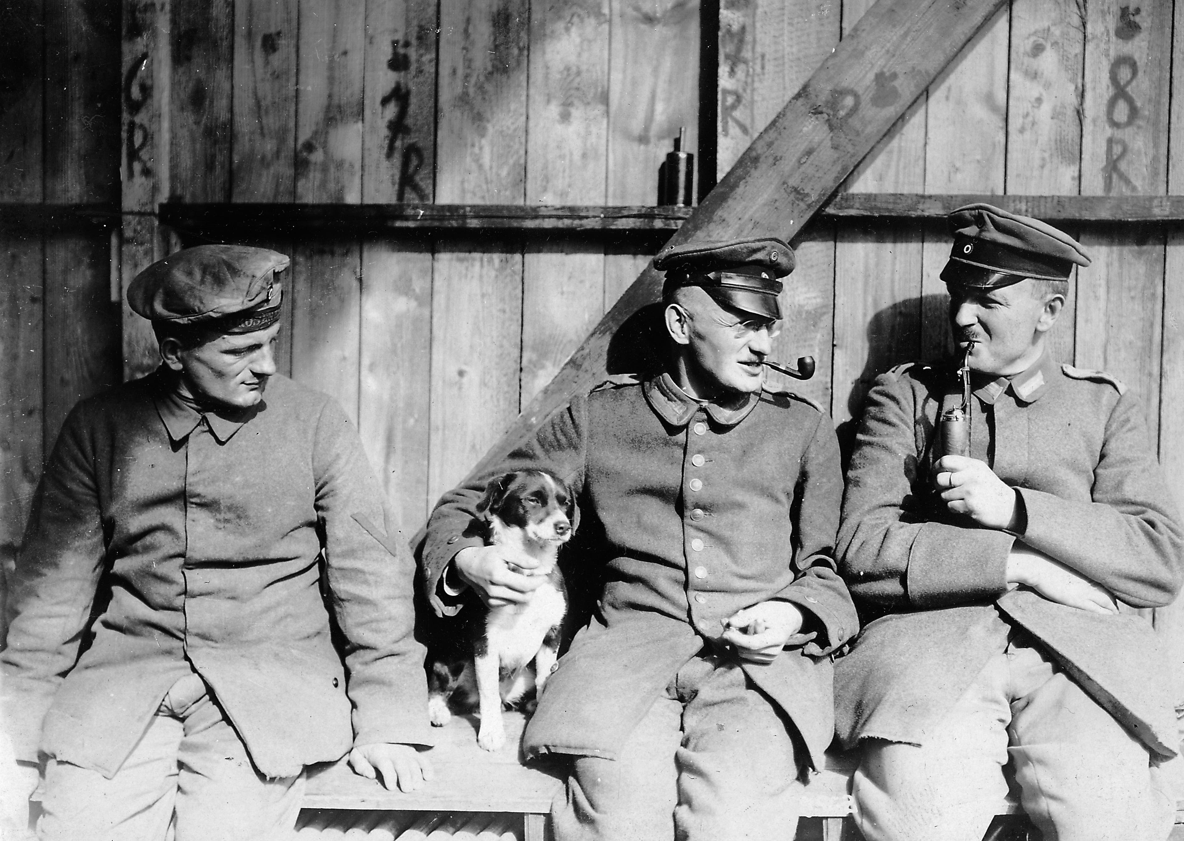 WWI Dogs