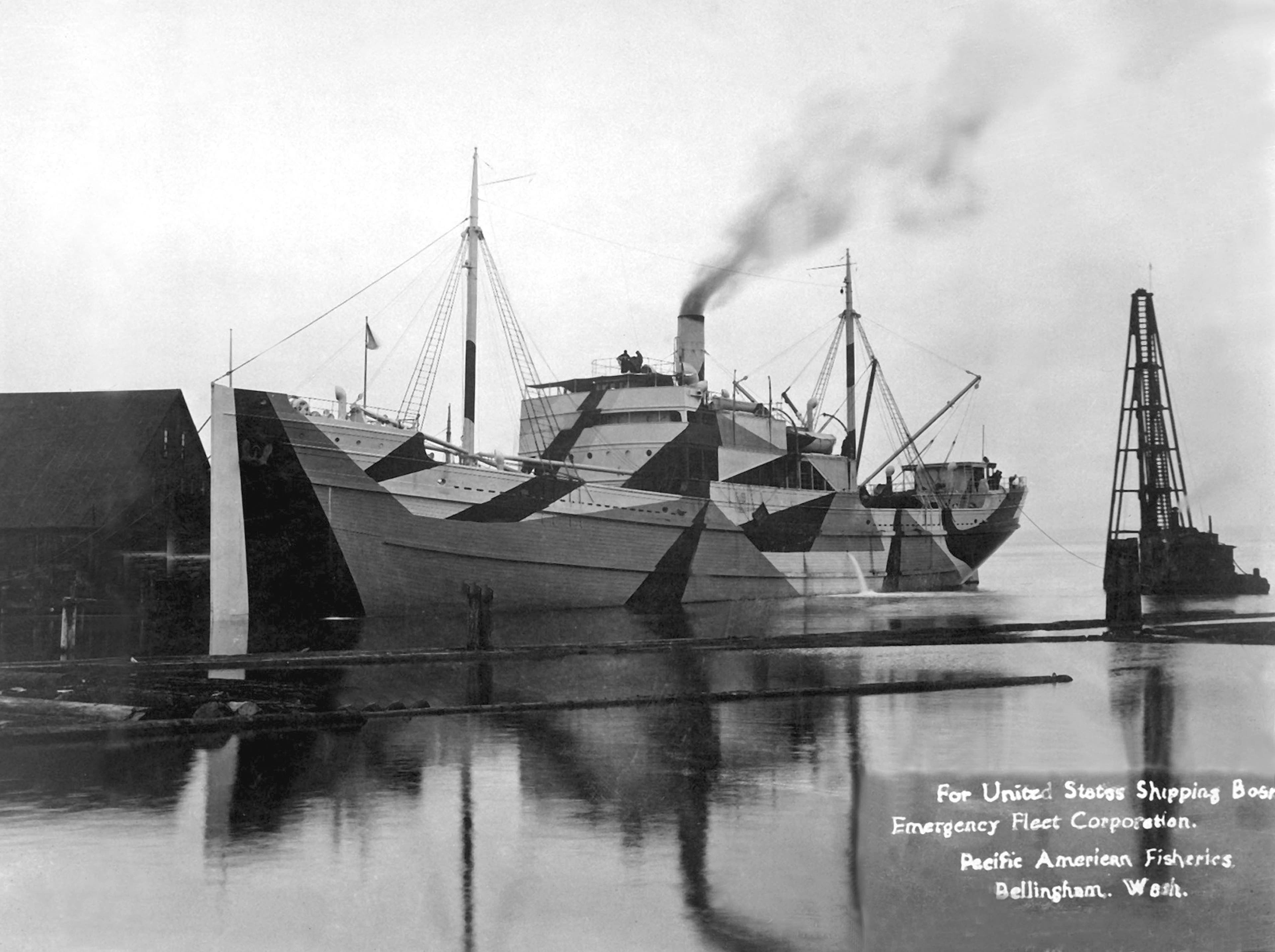 Dazzle Camouflage