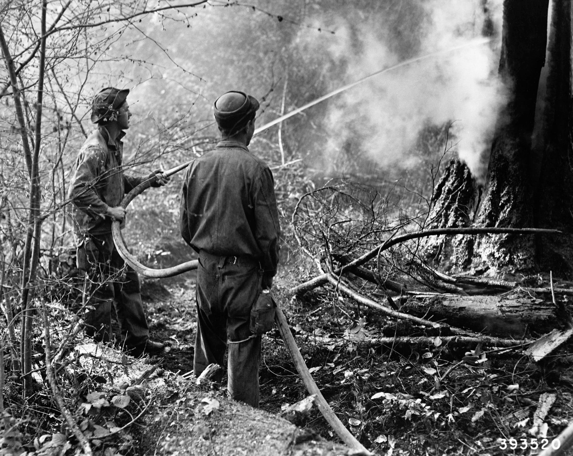 6 Projects the Civilian Conservation Corps Accomplished | HISTORY