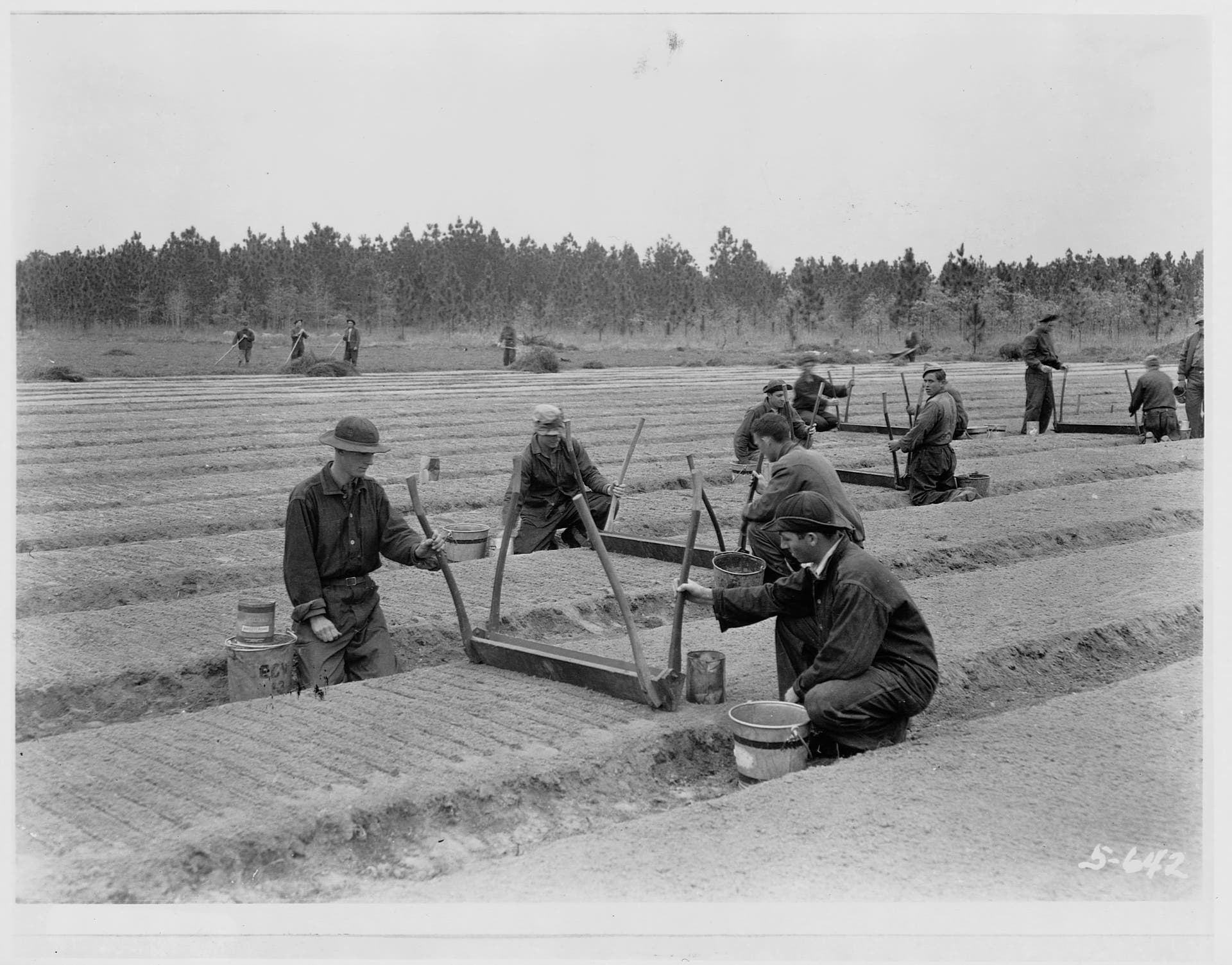 6 Projects the Civilian Conservation Corps Accomplished | HISTORY