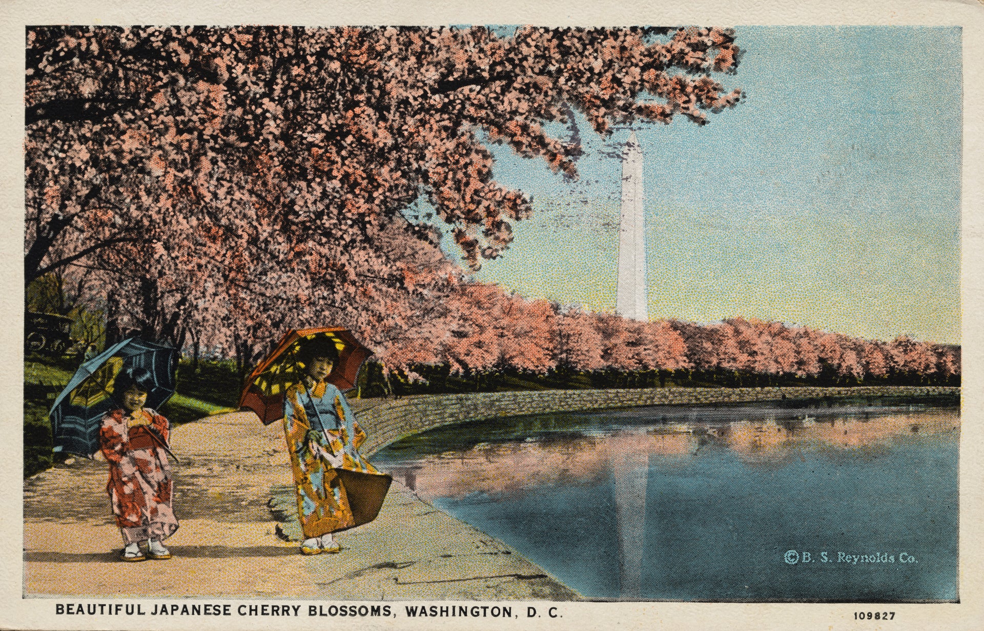How Washington, D.C. Got Its Cherry Trees HISTORY