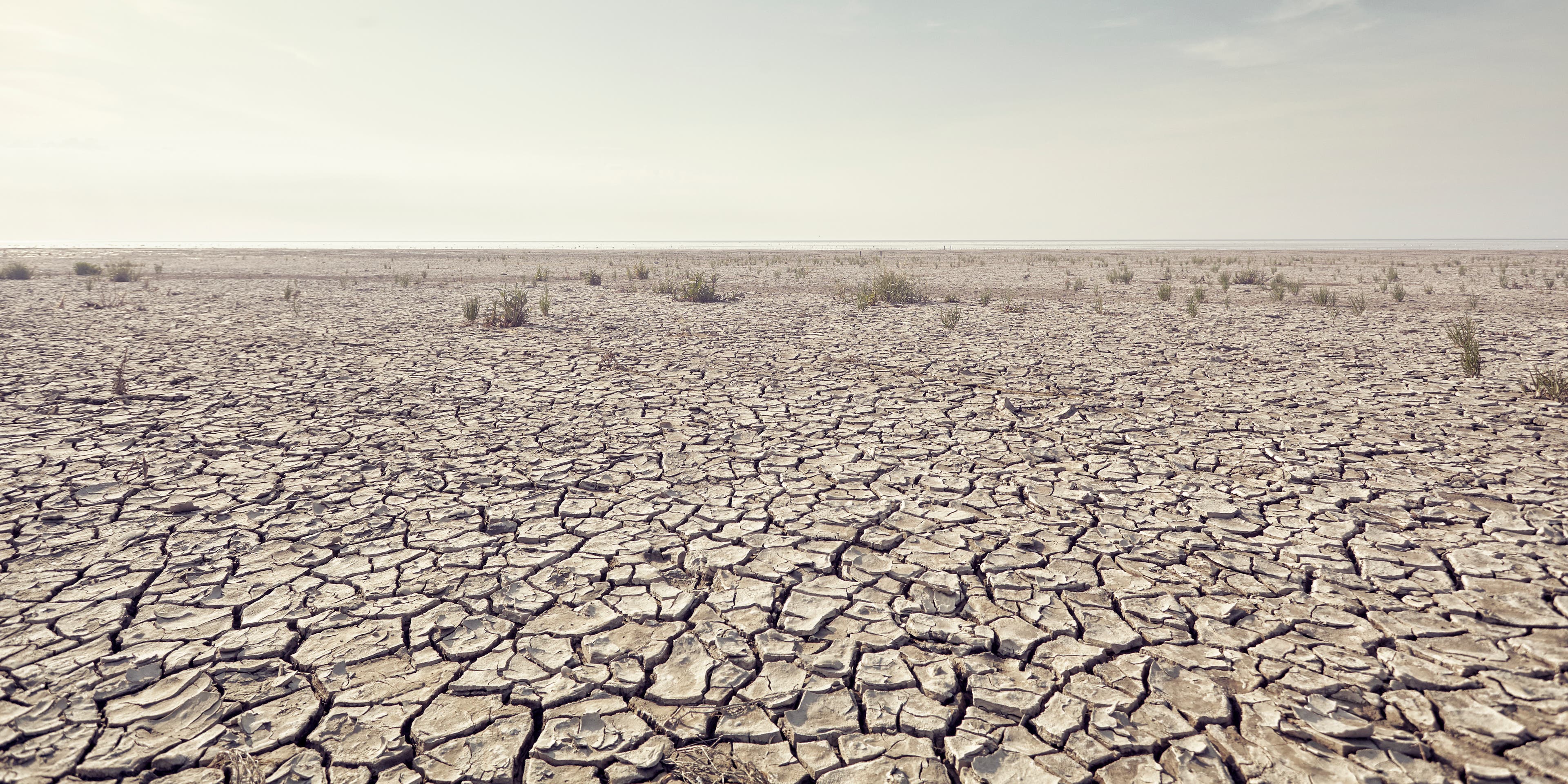 Open plain with cracked mud and clear sky