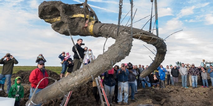 Michigan Farmer Digs Up Woolly Mammoth Bones in Field | HISTORY