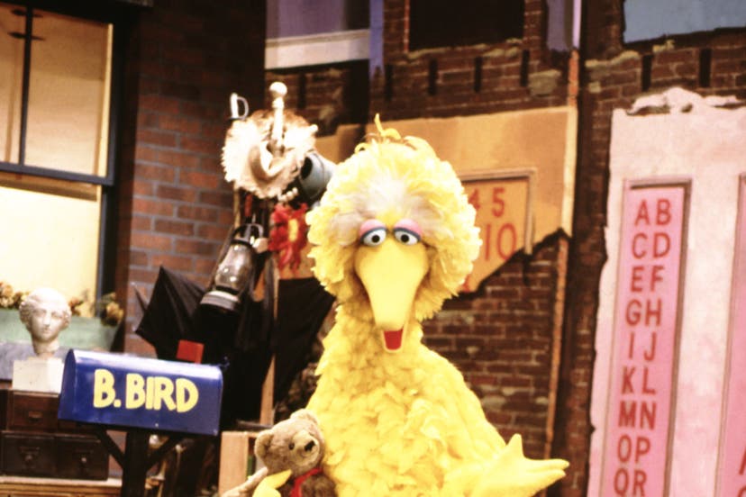 Big Bird Nearly Rode on the Disastrous Challenger Mission HISTORY