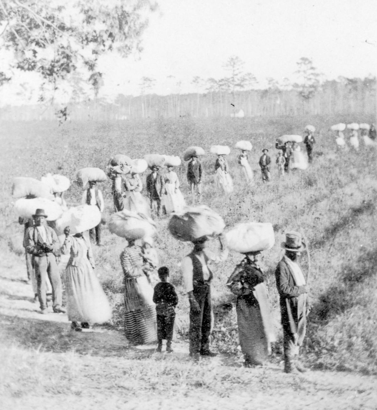 How Slavery Became the Economic Engine of the South HISTORY