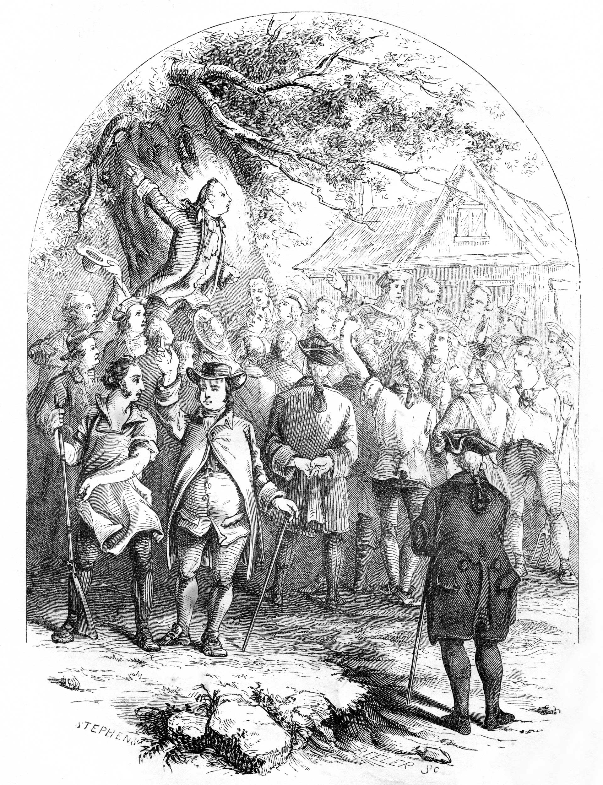 Why ‘Liberty Trees’ Became an Obsession After the Revolutionary War