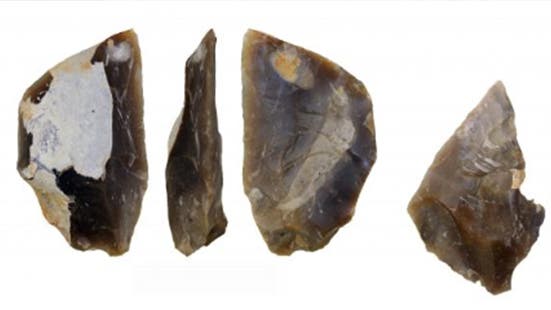 the discovered flint artifacts