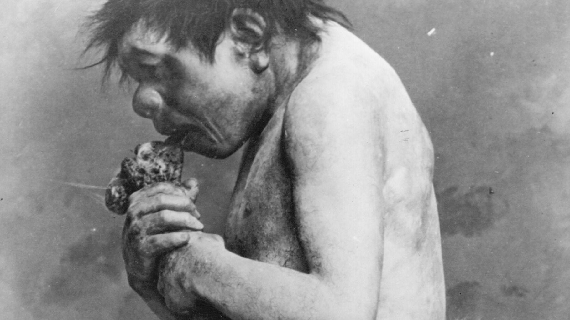 The Juicy History of Humans Eating Meat HISTORY