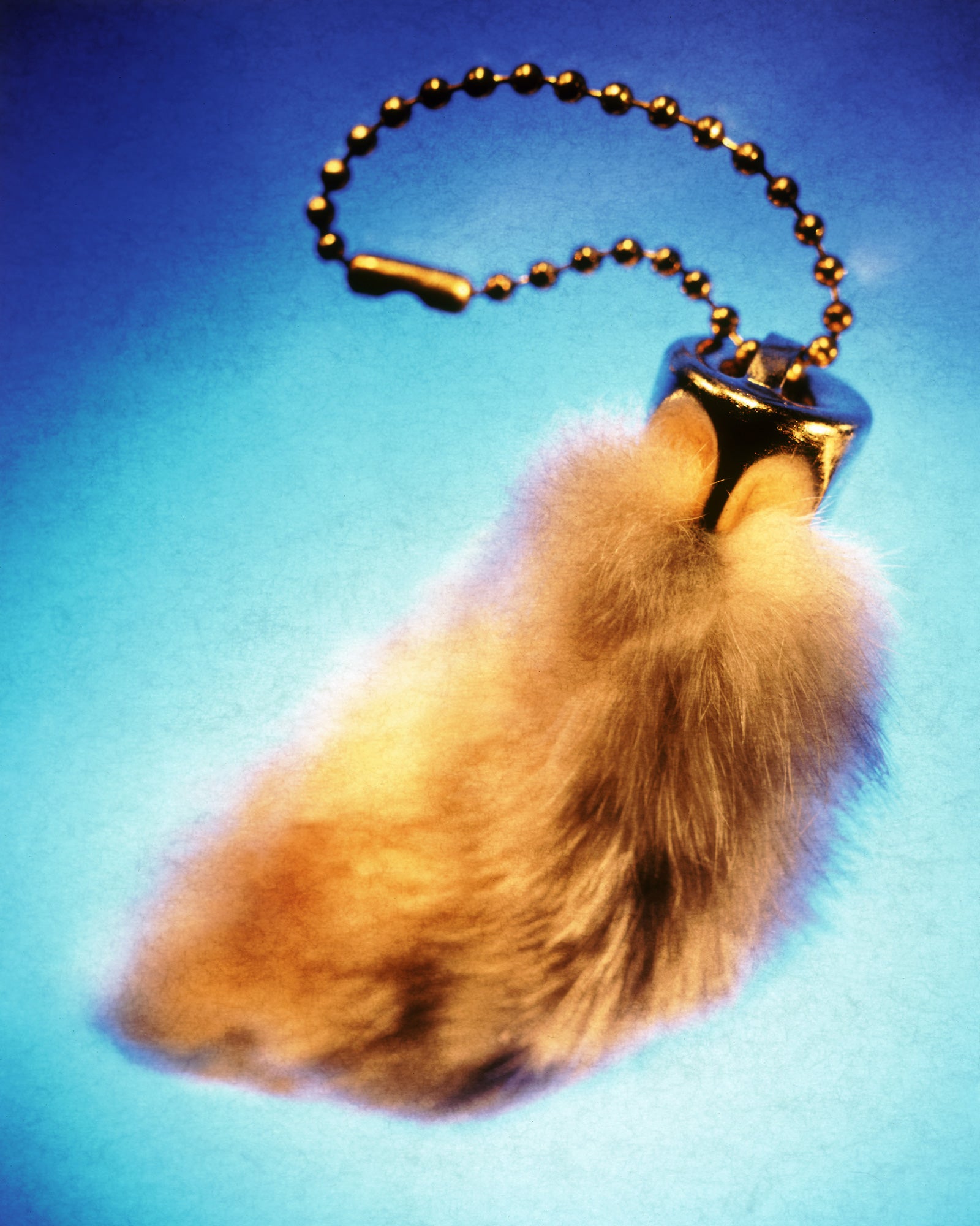 Why Are Rabbits—And Rabbits' Feet—Considered Good Luck Symbols? HISTORY