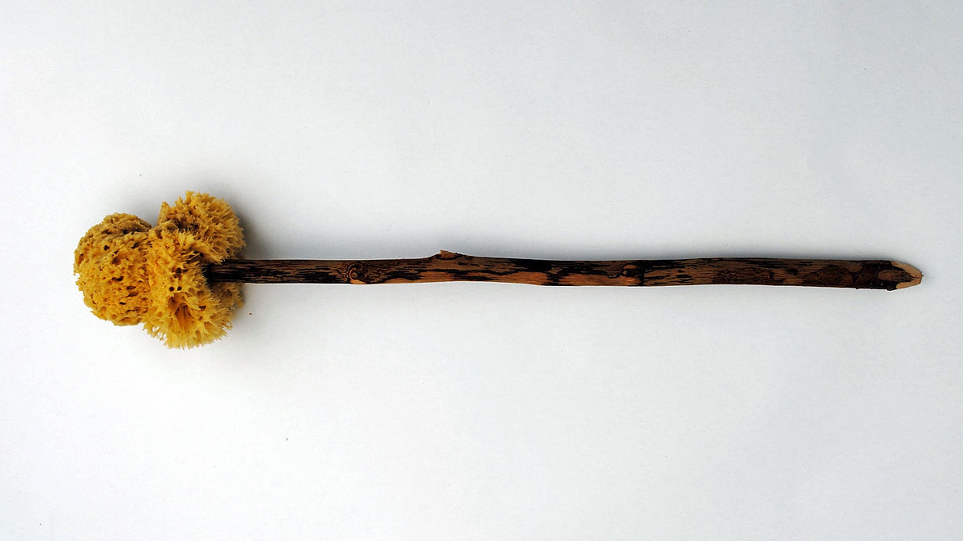 All the Ways We’ve Wiped The History of Toilet Paper and What Came