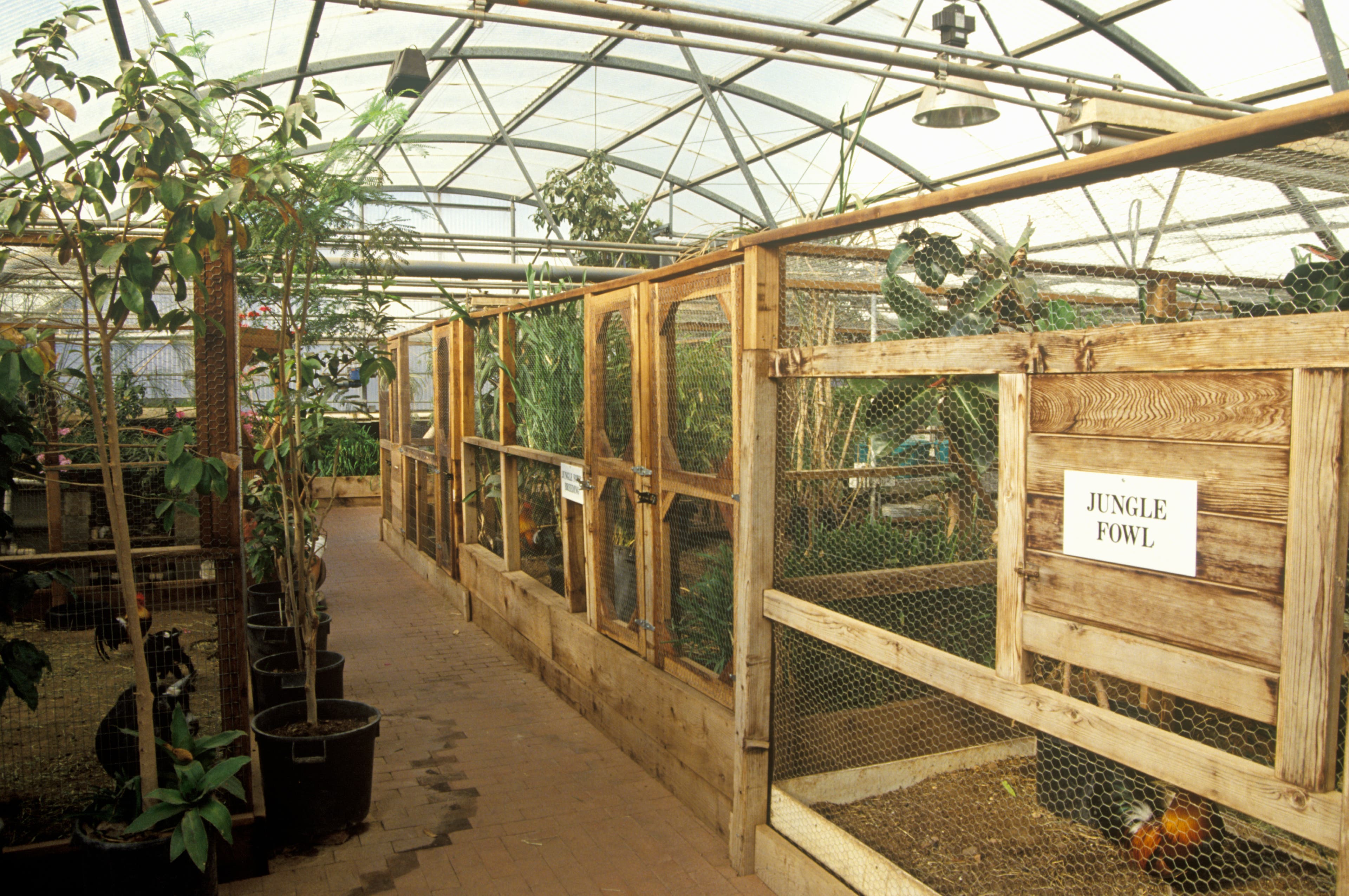 When Biosphere 2 Became a Grand Experiment in Self‑Isolation | HISTORY