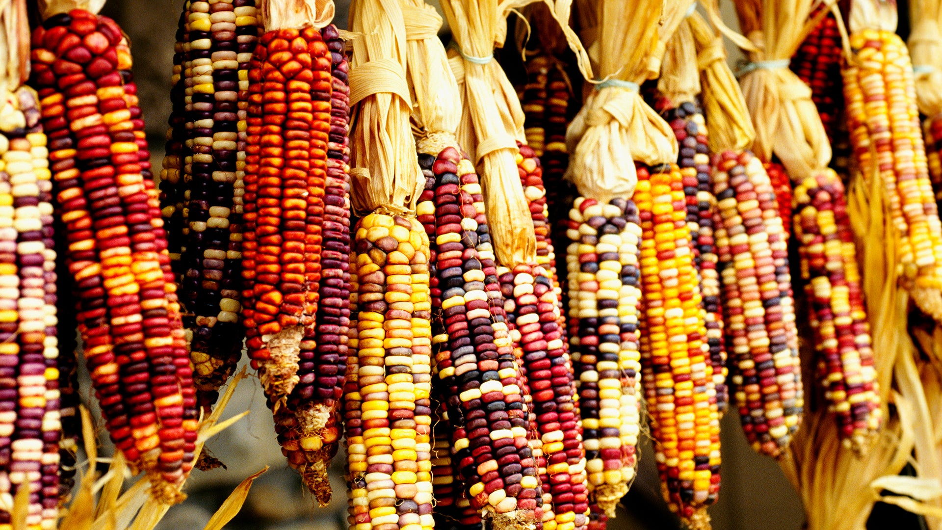 History of Native American food systems