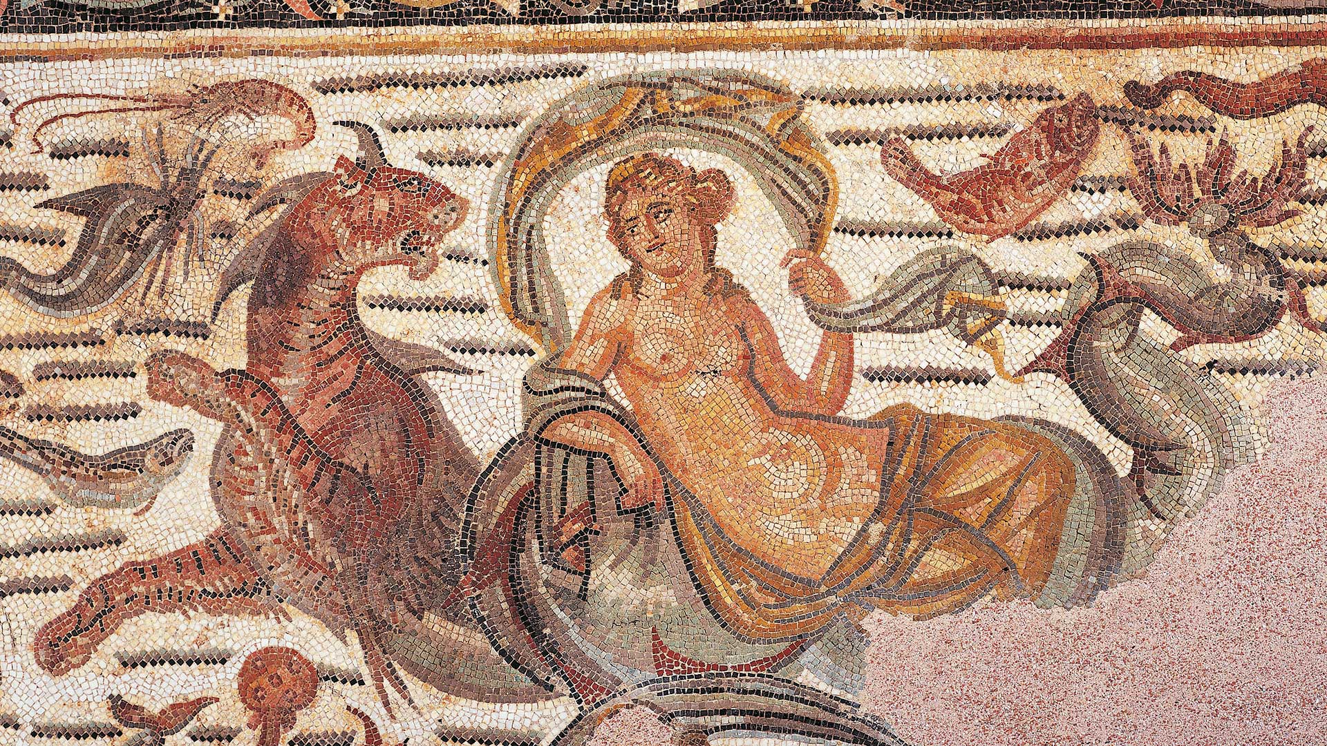 Artistic Swimming Spectacles Entertained Ancient Rome HISTORY